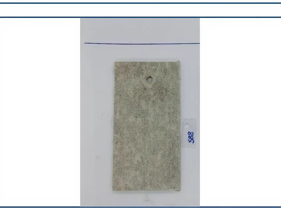 Bio Block cement panel at day 14 with no fungal contamination