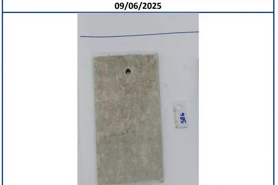 Natural Sealer cement panel at day 14 with no fungal growth